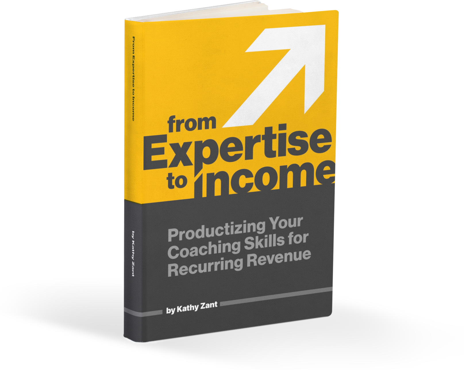 From Expertise to Income eBook
