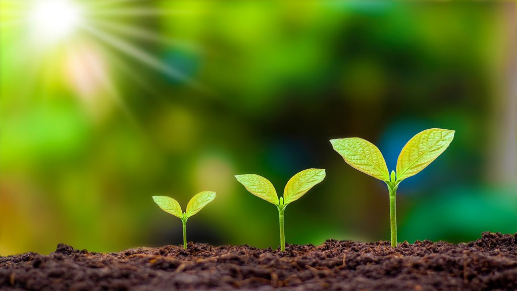 a coaching business goes through three stages: emerge, build, scale.